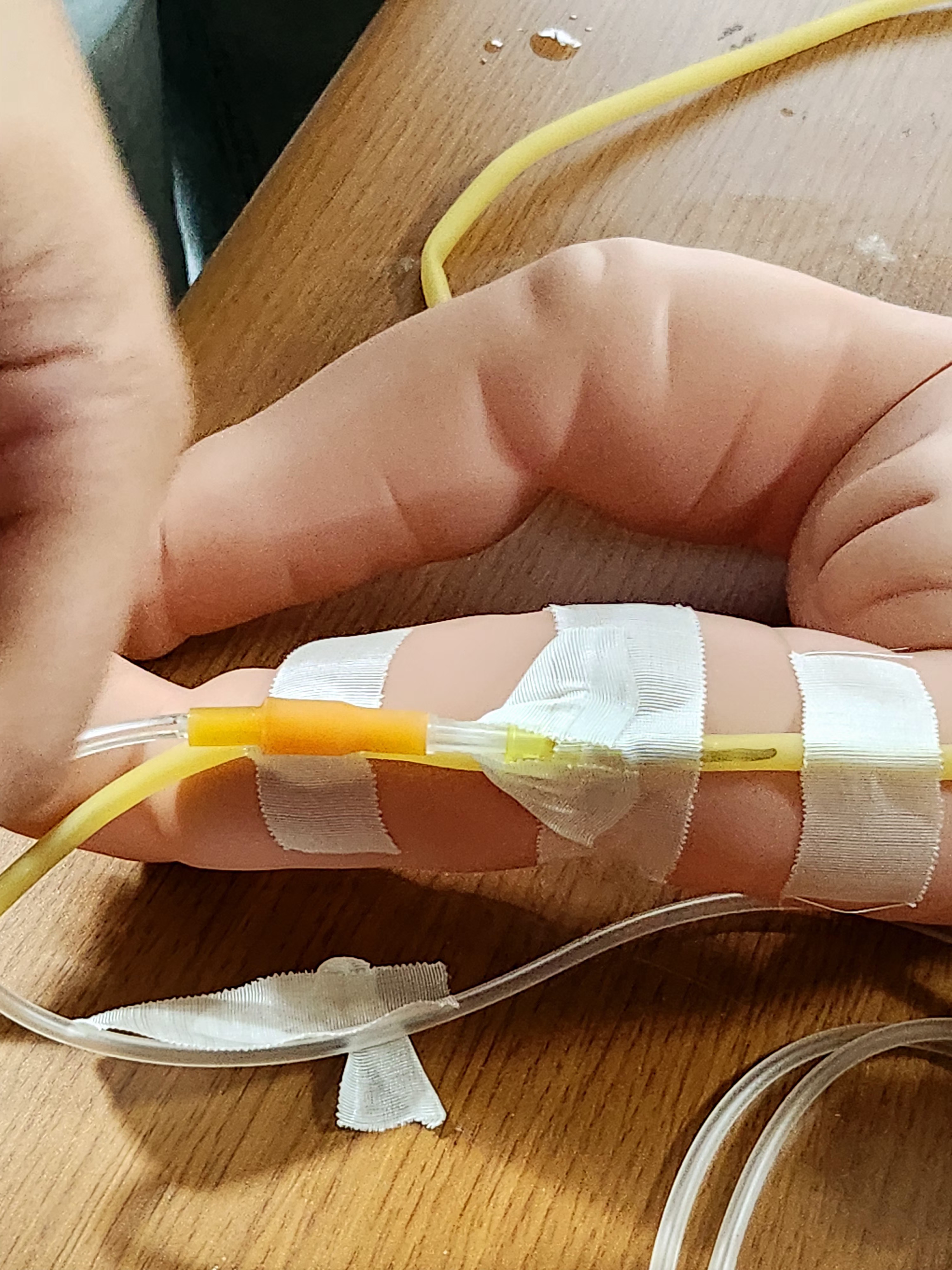 /user/j/janurse/editor/2512/01bfdde3198ec23516b66759b0f857f9_1767156222_791.jpg 이미지크게보기